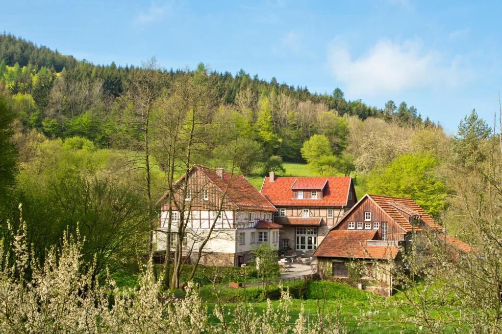 Romantik Hotel Landhaus Baerenmuehle Frankenau Esterno foto